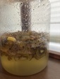 醗酵ドリンク教室リクエスト開催